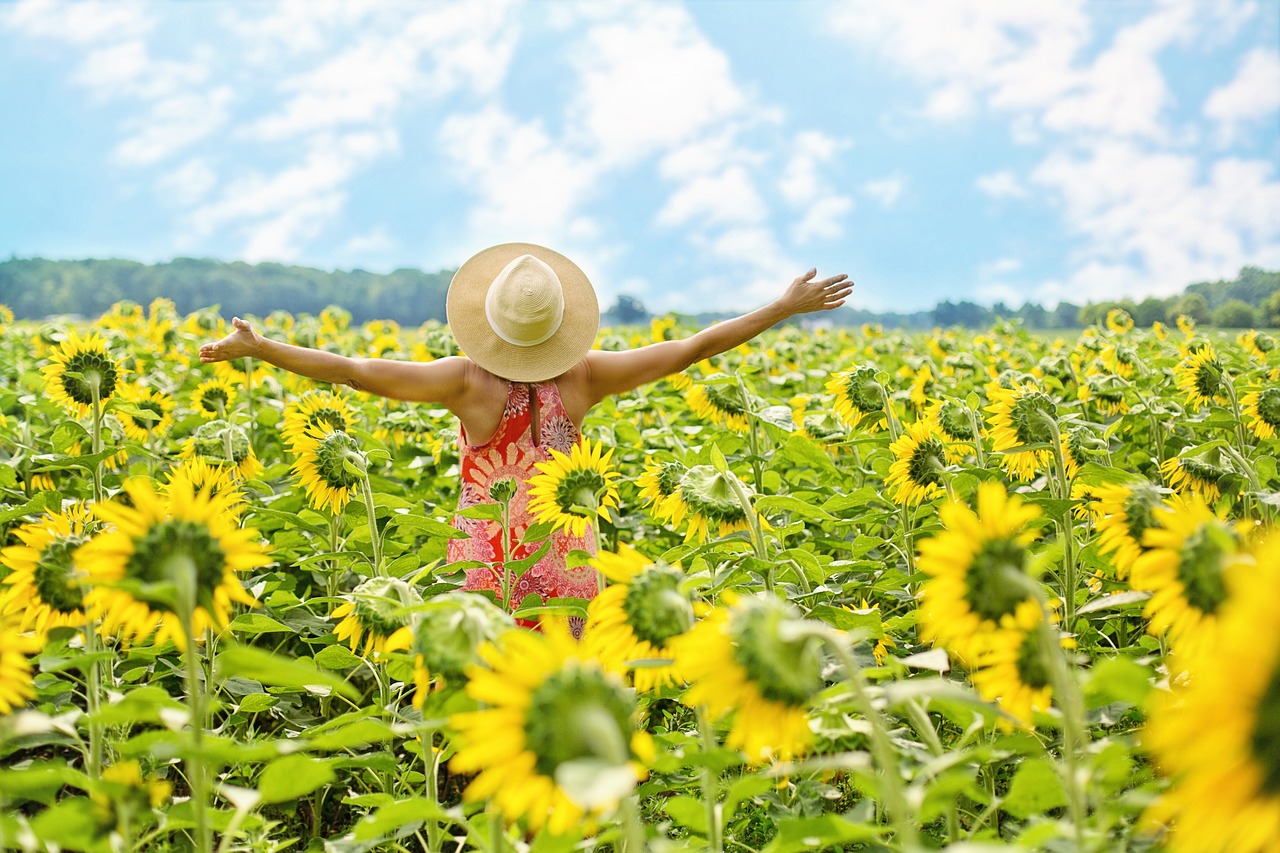 Tournesols, Champ De Tournesols, Femme